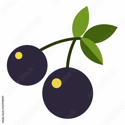 blueberries on branch with leaves