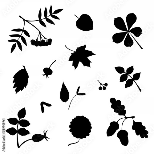Set with leaves.eps