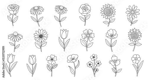 Hand-Drawn Flower Line Art Collection, Botanical Outline Sketches