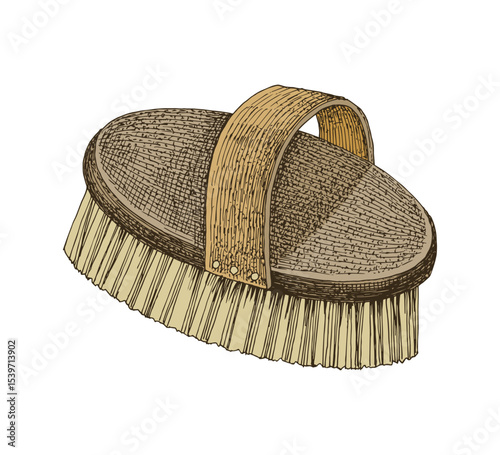 Hand drawn brush for horse grooming