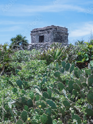 Mayan ruins of tulum emerging from the lush vegetation under a clear sky