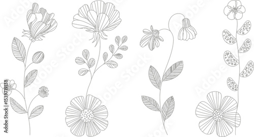 Four floral line art drawings of various flowers and leaves in a botanical illustration style layout
