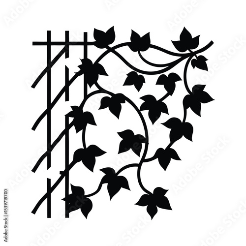 silhouette of ivy vine on trellis 