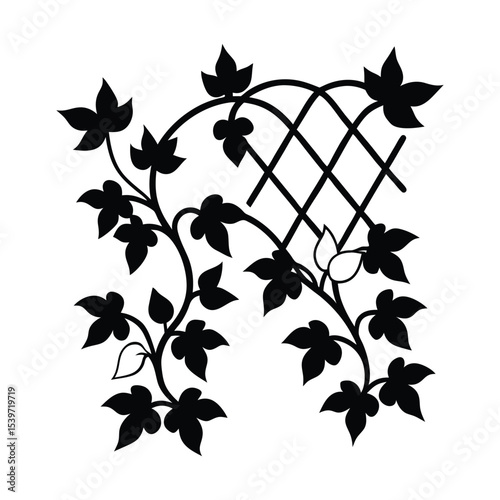 silhouette of ivy vine on trellis 