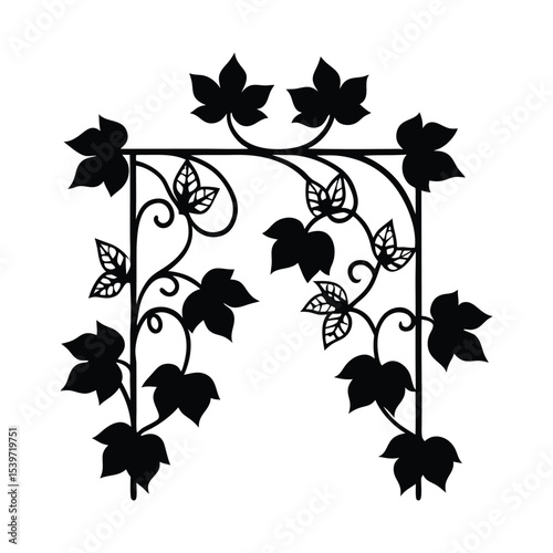 silhouette of ivy vine on trellis 
