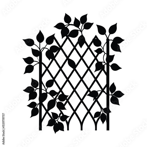 silhouette of ivy vine on trellis 