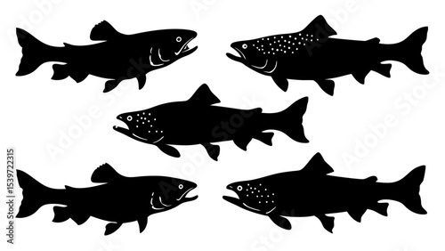 Set of modern illustration of fish