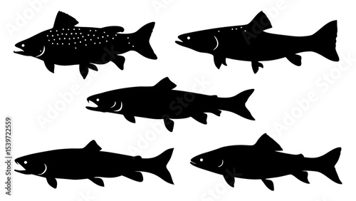 Set of modern illustration of fish