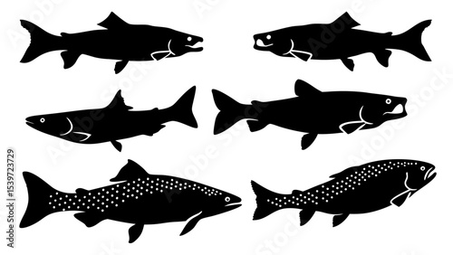 Set of modern illustration of fish