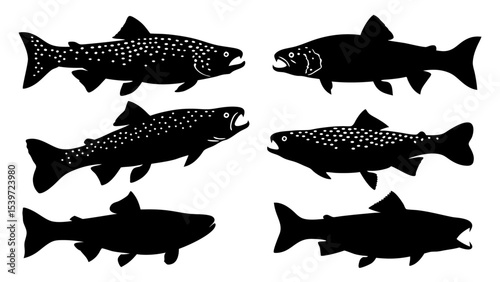 Set of modern illustration of fish