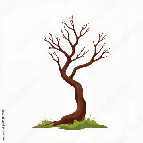 Isolated broken branch on white background, nature symbolism