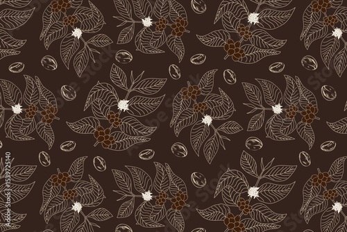 Vector illustration of coffee and branches, flowers and fruits. Seamless pattern of coffee plant branches on dark background