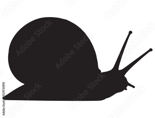 SNAIL SILHOUETTE