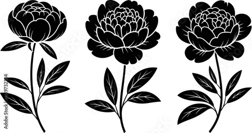 Three black flower illustrations with stems and leaves on a white background in vector format