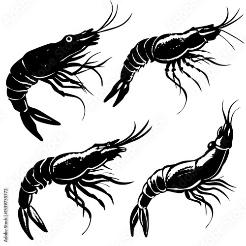 set of shrimp Style Shrimp Set – Four Variants