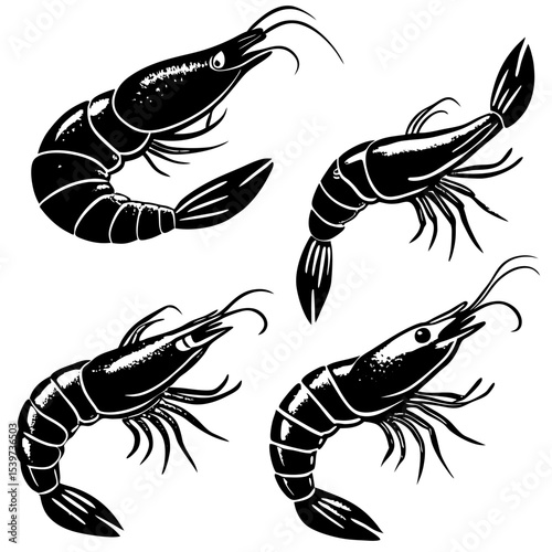 Style Shrimp Set – Four Variants