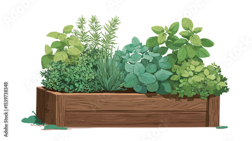 A digital illustration depicting a variety of fresh green herbs growing in a dark brown rectangular wooden planter box.  The herbs are lush and full, with visible detail in their leaves. 