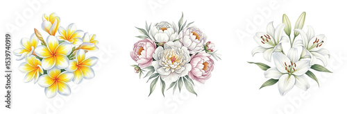 Artistic watercolor renditions of beautiful white plumeria, delicate white peonies with pink accents, and graceful white lilies.