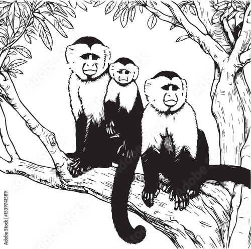Capuchin Monkey Simple Black and White Vector Illustration
