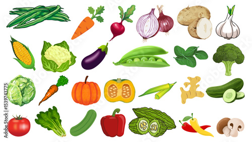 Illustration showing an assortment of various vegetables including beans corn onion and other garden produce