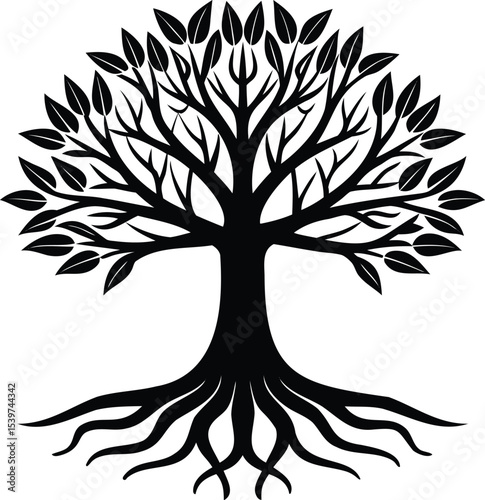 Elegant black tree silhouette with roots and leaves on a white background