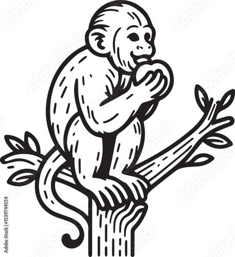 Capuchin Monkey Simple Black and White Vector Illustration