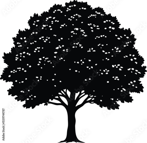 Silhouette of a lush blooming tree with flowers against a white background