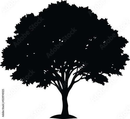 A striking silhouette of a tree with full foliage against a stark white backdrop