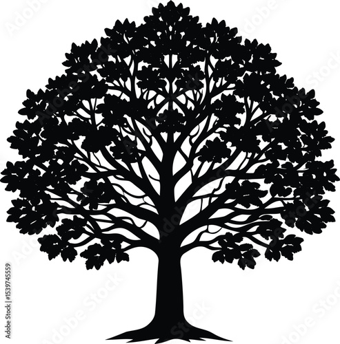 Black and white illustration of a deciduous tree with dense foliage