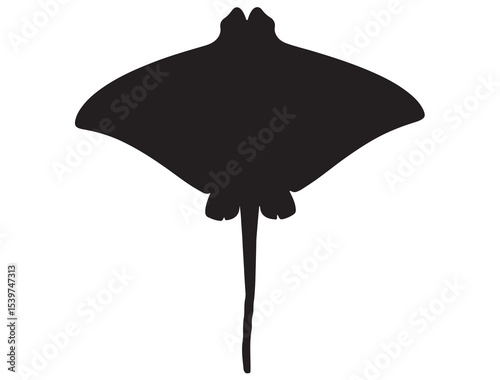  STING RAY SILHOUETTE