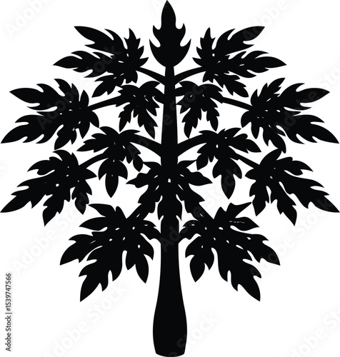 Monochrome papaya tree illustration, silhouette against a white background, detailed leaves