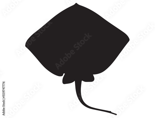  STING RAY SILHOUETTE