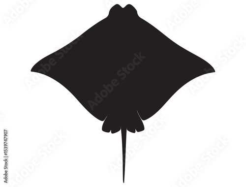  STING RAY SILHOUETTE