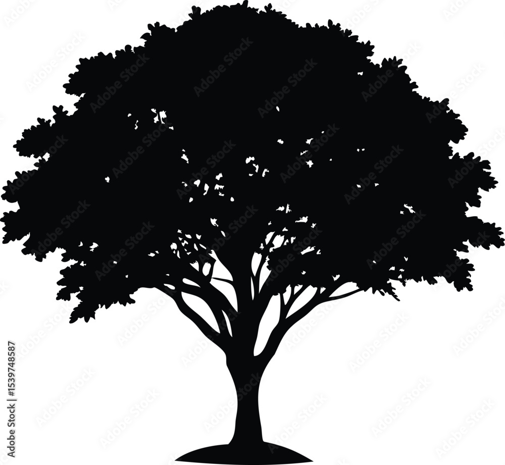 Fototapeta premium Monochrome silhouette of a majestic tree with dense foliage against white backdrop