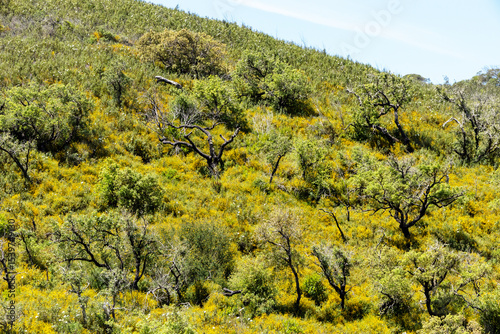 natureza