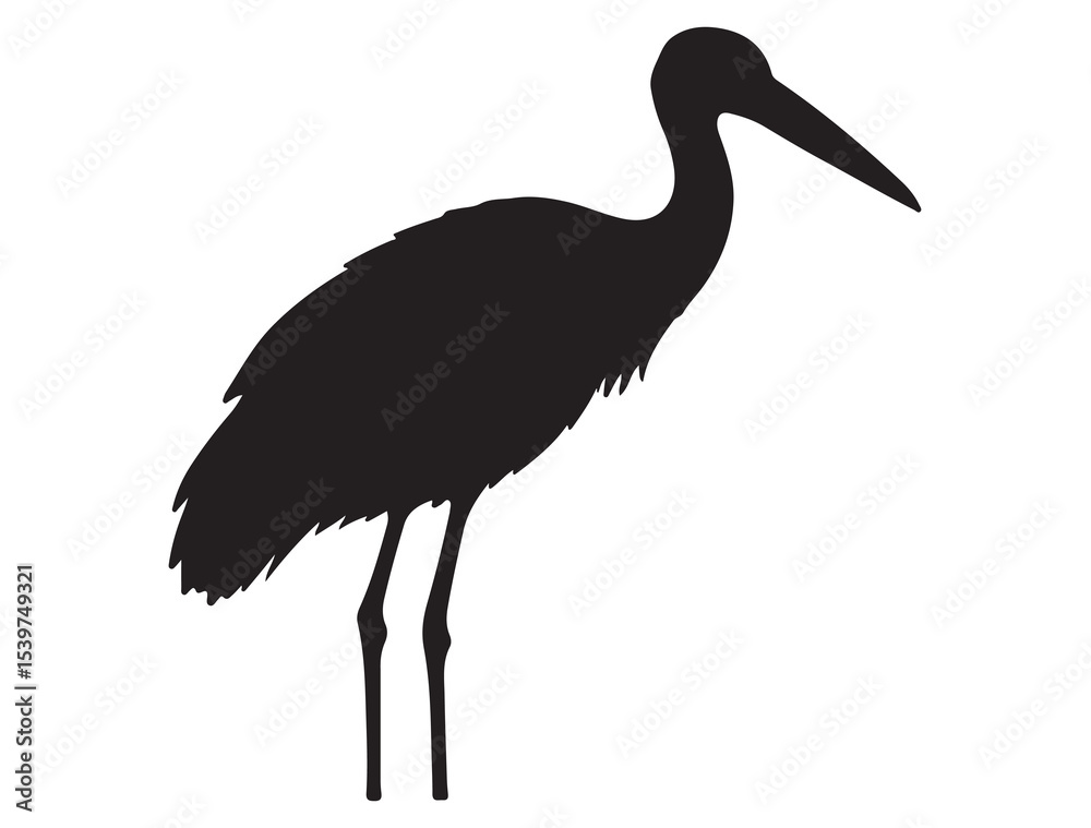 Obraz premium STORK BIRD SILHOUETTE