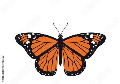Creative Abstract Image Effects Design Vector Art with Dynamic Elements