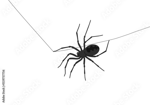 Dynamic Image Effects Vector Art Modern Visual Enhancements for Graphics and Design Projects