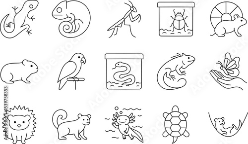 Exotic and Small Pets Line Icon Set. Includes Lizard, Chameleon, Snake, Parrot, Hamster, and More.