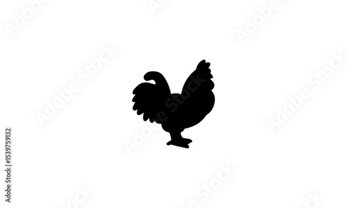 chicken isolated on white background