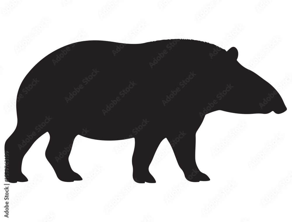 Obraz premium TAPIR SILHOUETTE 