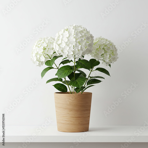 Wallpaper Mural flower in vase Torontodigital.ca