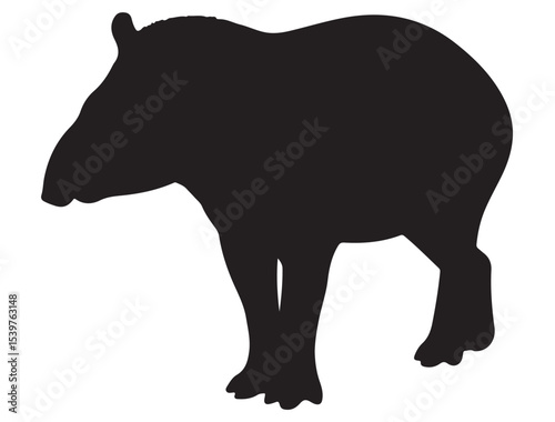 TAPIR SILHOUETTE 