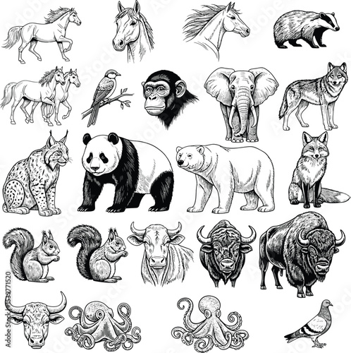 Black Animal Silhouette Grid Featuring Diverse Wildlife in Minimalist Vector Style