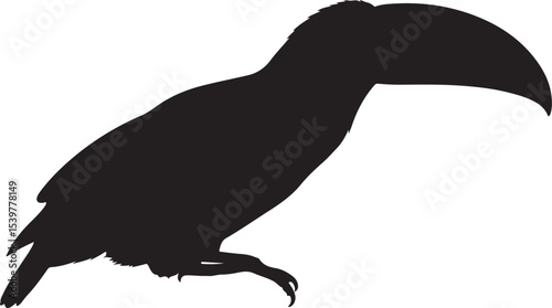 TOUCAN BIRD SILHOUETTE