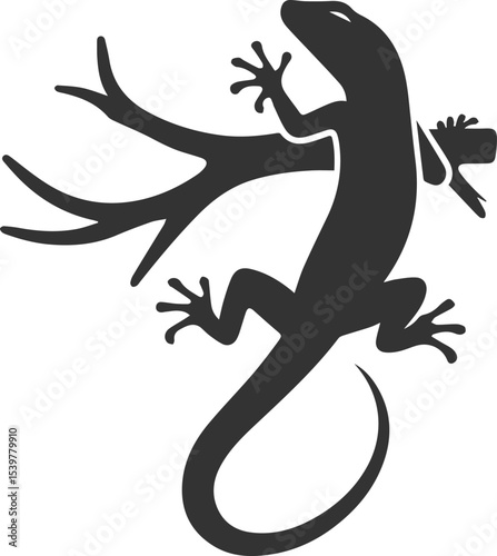 Vector illustration drawing silhouette of a reptile animal lizard isolated