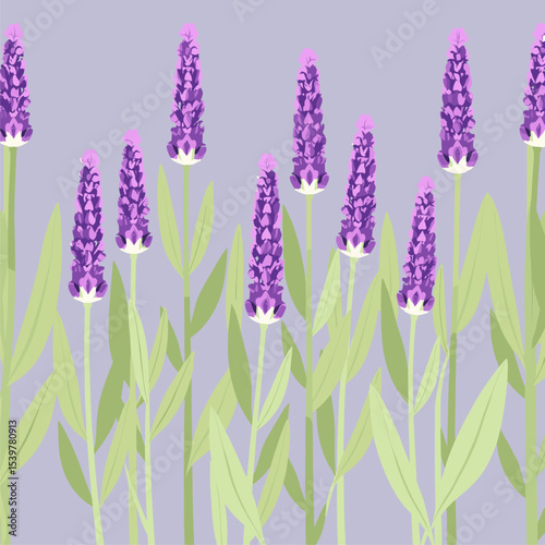 Lavender Field Floral Seamless Pattern - Purple Flowers on Lilac Background