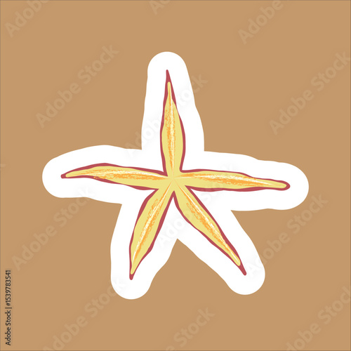 vector illustration of a star