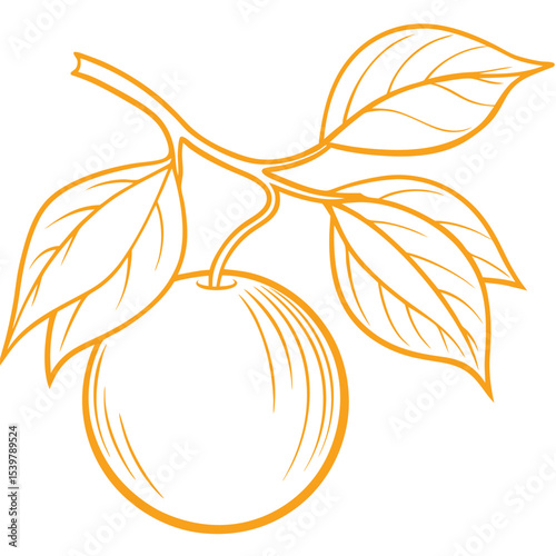 a fruit in a branch