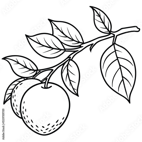 a fruit in a branch